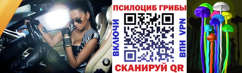 Галлюциногенные грибы Cubensis Уяр